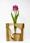 Preview: vase-mit-ginko-ausschnitt-holz-reagenzglas-blumen-eschenholz