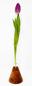 Preview: Vase, Holz, Reagenzglas, Kunst, Handwerk, Glas, Blume, Dekoration, Tisch, Schmuck,
