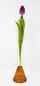 Preview: Vase, Holz, Reagenzglas, Kunst, Handwerk, Glas, Blume, Dekoration, Tisch, Schmuck,
