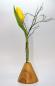 Preview: Kegelvase mit Reagenzglas