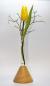 Preview: Vase, Vasen, Holzvasen, Reagenzglas, Kunst, Handwerk, Glas, Blume, Dekoration, Tisch, Schmuck, Vasen aus Holz
