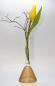 Preview: Vase, Holz, Reagenzglas, Kunst, Handwerk, Glas, Blume, Dekoration, Tisch, Schmuck,