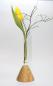 Preview: Kegelvase mit Reagenzglas