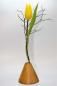Preview: Kegelvase mit Reagenzglas