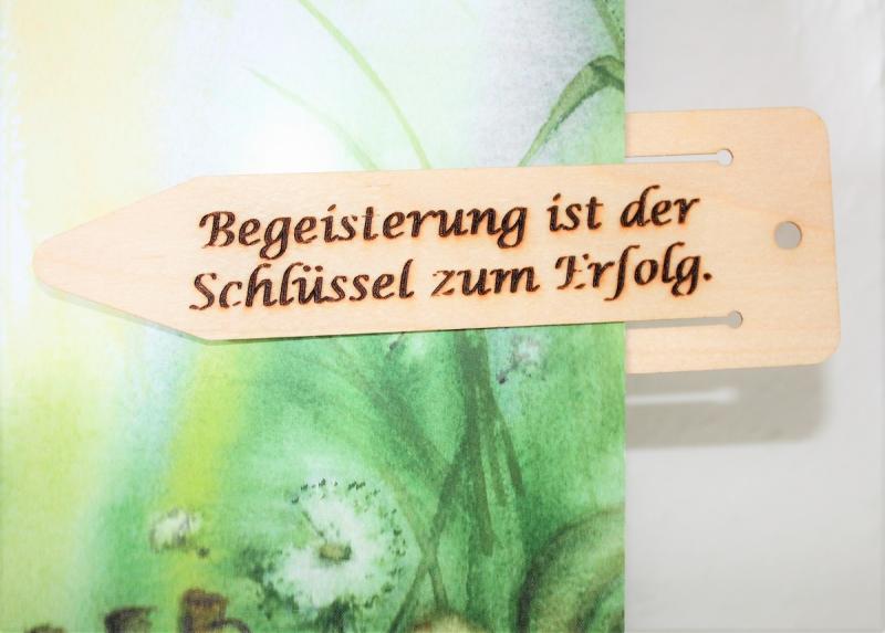 Lesezeichen,Buch,Holz,Klammer,Seite
